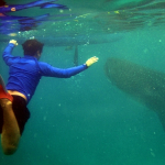 Swim, Jump, Climb: Maximizing your Day Trip to Southern Cebu
