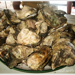 Craving for Talaba?